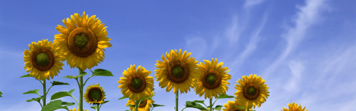 436856 (a): :3840x1200